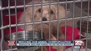 Reducing our animal overpopulation