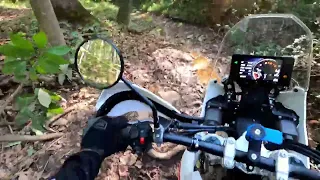 Kove 450 Rally First Impressions - It Finished a Hare scramble!