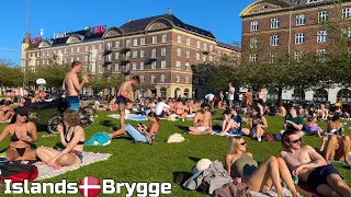 🇩🇰 Islands Brygge Harbor Beach | 4K Beach Walk | Copenhagen Denmark | September 2023