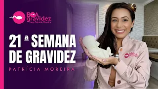 21 SEMANAS DE GRAVIDEZ (Atualizado) - Série A Formação Humana | Tamanho real do bebê, Maquete 3D