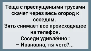 Как Зять Тещу Напугал! Сборник Свежих Анекдотов! Юмор!