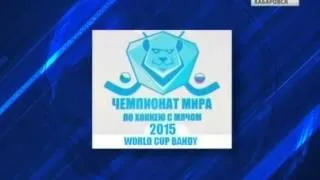 Вести-Хабаровск. Талисман Чемпионата мира по хоккею с мячом - 2015