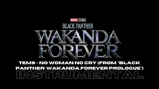 Tems - No Woman No Cry [Instrumental](From "Black Panther: Wakanda Forever Prologue")