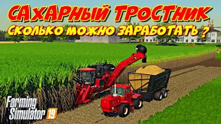 FS 2019 сахарный тростник сколько можно заработать ?  (sugar cane how much can you earn ?)