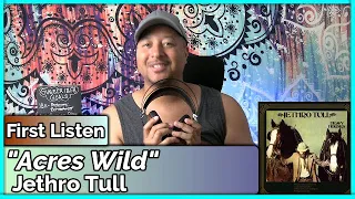 Jethro Tull- Acres Wild REACTION & REVIEW