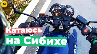 Катаюсь на Honda CB500. За эту цену ничего лучше не купить