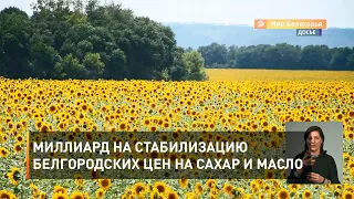 Миллиард на стабилизацию белгородских цен на сахар и масло