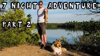 7 Night Wilderness Adventure With My Dog (Part 2 of 3)