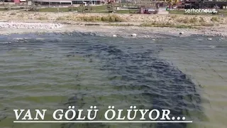 Van Gölü Ölüyor..