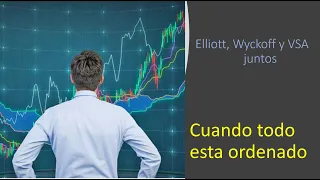 Cuando Elliott, Wyckoff y VSA trabajan juntos