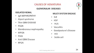 A Class On INTRODUCTION TO RENAL DISEASES By Dr Anusha Deepthi Dept Of Pediatrics