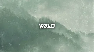 Free Sad Type Beat - "WALD" | Emotional Rap Piano Instrumental 2022