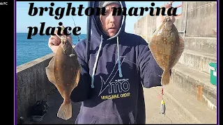 Brighton marina plaice fishing ?? COMPLETED IT MATE !!!!