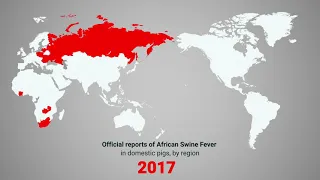 The spread of African swine fever - 2021