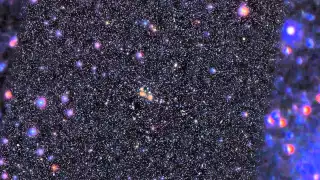 Hubble HD: Zoom into Perseus Cluster Dwarf Galaxies