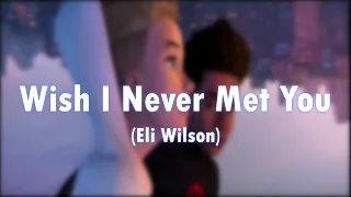 Eli Wilson   Wish I Never Met You (Lyrics)