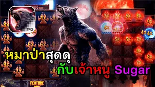 Werewolf's Hunt : หมาป่าสุดดุ กับเจ้าหนู Sugar !!