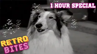 Lassie | 1 Hour Special | Full Episodes  🐕