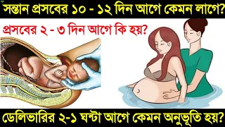 ডেলিভারির ১ সপ্তাহ আগে শরীরে কি কি লক্ষণ দেখা যায়? | নরমাল ডেলিভারির ২- ১ ঘন্টা আগে কি কি ঘটে দেখুন!