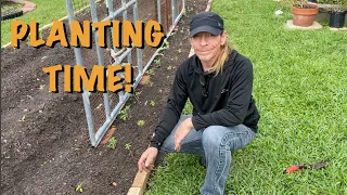 April Veggie Planting with Rich Garden Creative