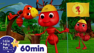 Ants Go Marching +More Nursery Rhymes and Kids Songs | Little Baby Bum