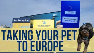TAKING YOUR DOG TO EUROPE - EVERYTHING YOU NEED TO KNOW
