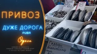 Чому дорожачає риба? Реакція на сюжет Суспільного Одеси.