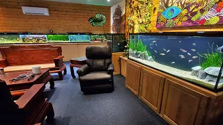Complete Fish Room Tour - Fish Room Update Ep. 134