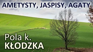 Pola pod Kłodzkiem, czyli poszukiwania ametystów, jaspisów i agatów.