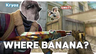 CSGO Moments That KILLED MY LAST BRAINCELL