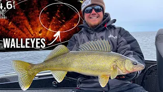 Best LIVESCOPE Technique That Catches SHALLOW Spring Walleyes!