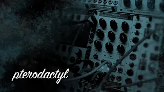 PTERODACTYL / Joranalogue Audio Design DELAY 1 / karplus strong sound processing / eurorack jam