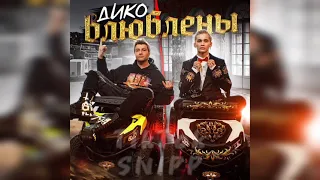 Даня милохин & Николай Басков -дико влюблены (слив трека )