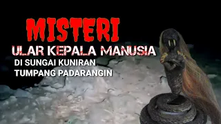 Live misteri Ular kepala manusia di sungai padarangin