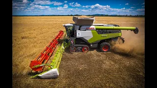 CLAAS LEXION 8900 + 780TT - HARVEST 2022 - Wheat (Jiřice u Miroslavi)