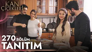 Kan Çiçekleri 270. Bölüm Tanıtımı