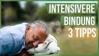 3 TIPPS für eine intensive Mensch-Hund-Beziehung! ❤️ Das solltest Du beachten!