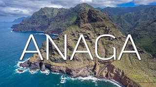 This is ANAGA : A Guide to Tenerife's Jurassic Paradise for Nature Lovers | Canary Islands