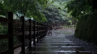 Rainy quiet scenery, excellent rain sounds for insomnia and sleep ASMR white noise relaxing lullaby