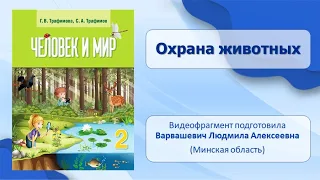 Тема 16. Охрана животных