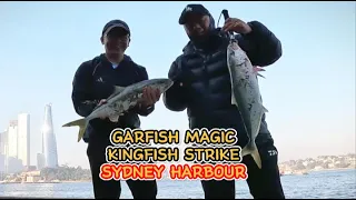 Spinning Garfish for Kingfish in Sydney Harbour