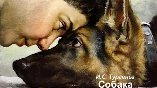 "Собака "- автор И.С. Тургенев, чит. В.Алёшин