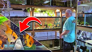 Fish Feeding Frenzy! Dean’s Fish Room
