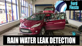 Ford Fiesta | Water Leaking Through Door Membranes | #FordFiestaLeaks