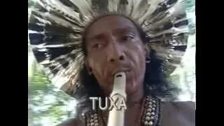 Povos Indígenas De Pernambuco