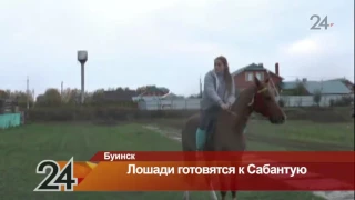 В Буинске готовят лошадей к главным скачкам Сабантуя