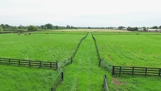 The Art of Equine Fencing