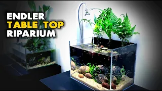 Aquascape Tutorial: Tabletop Endler Riparium / Aquarium (How To: Step By Step Planted Tank Guide)