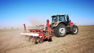 Точний висів з сівалкою Massey Ferguson 9108 VE Precision Planting