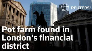 Pot farm found in London's financial district